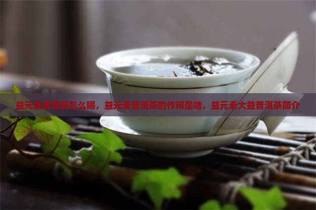 益元素普洱茶怎么喝