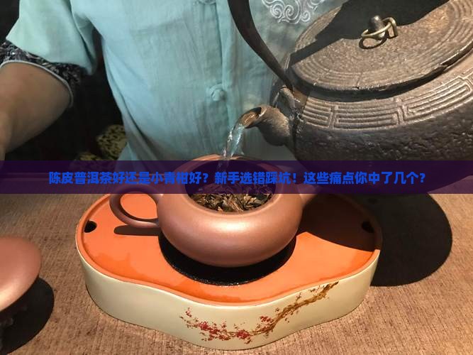 陈皮普洱茶好还是小青柑好