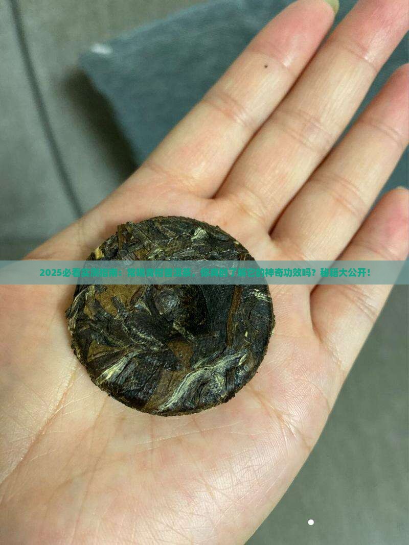 常喝青柑普洱茶怎么样