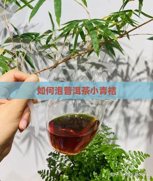 如何泡普洱茶小青桔