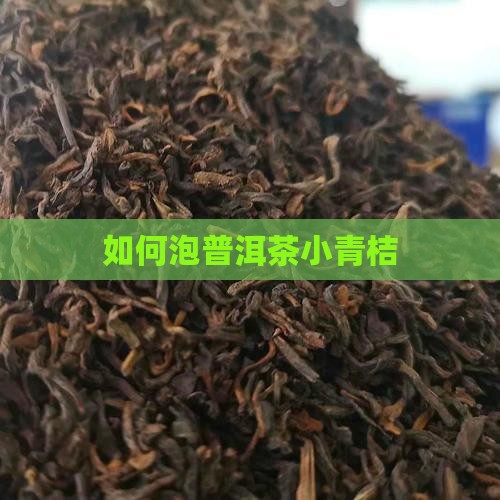 如何泡普洱茶小青桔