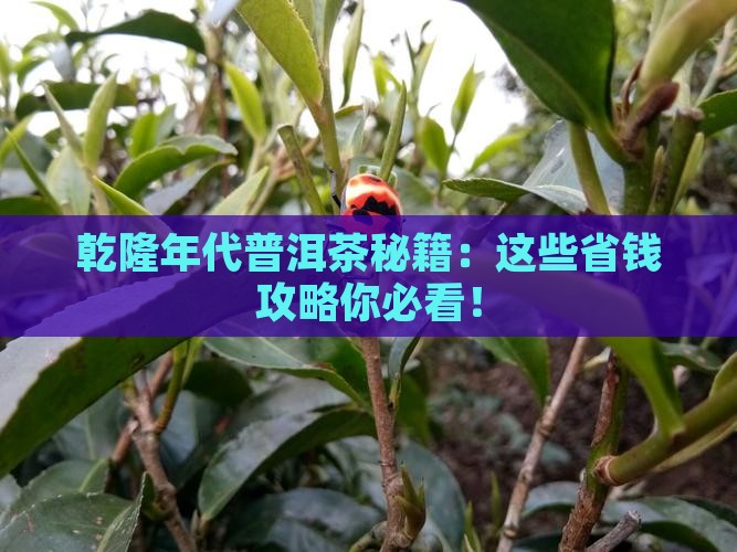 乾隆年代普洱茶
