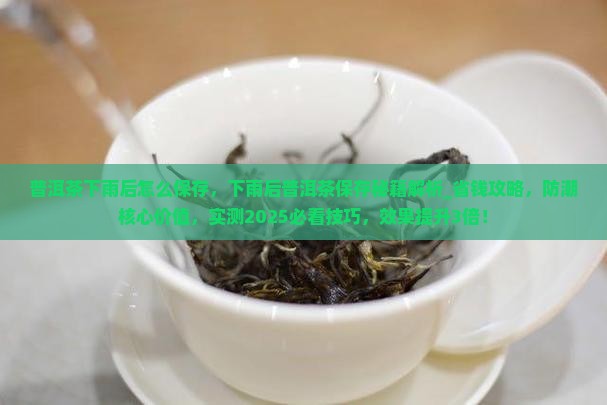 普洱茶下雨后怎么保存