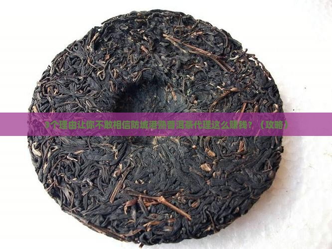 防城港熟普洱茶代理招商