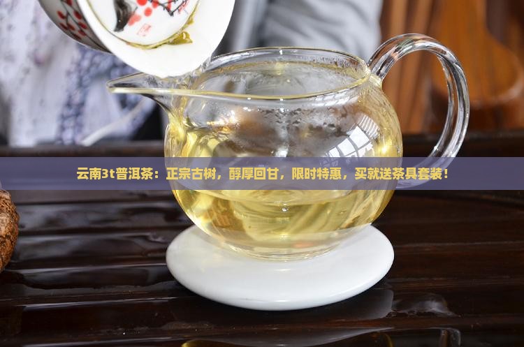 云南3t普洱茶