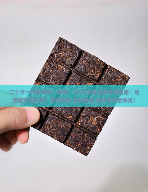 二十万一斤普洱茶
