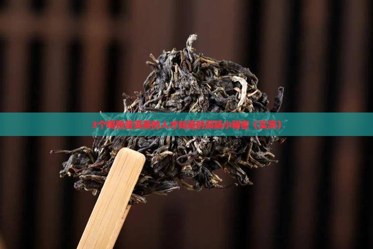 熟普洱茶润肠吗