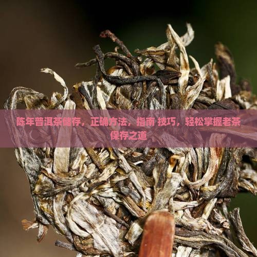 陈年普洱茶储存