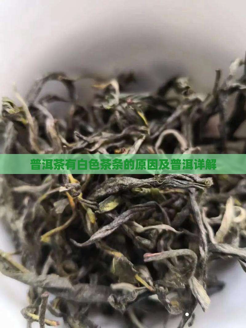 普洱茶有发白的茶条