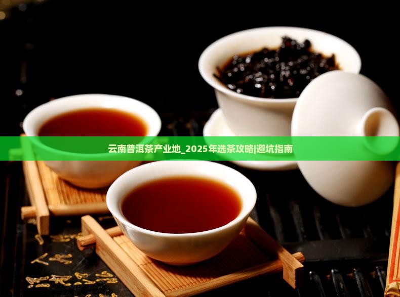 云南普洱茶产业地