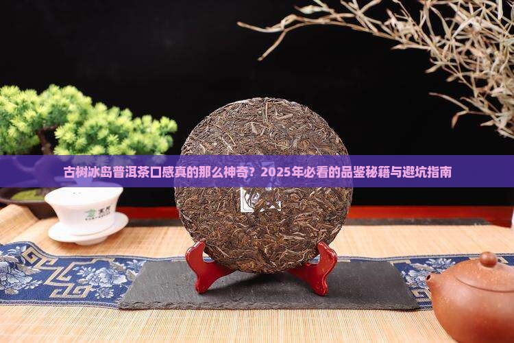 古树冰岛普洱茶口感