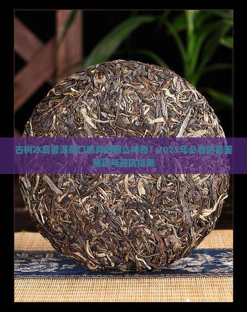 古树冰岛普洱茶口感