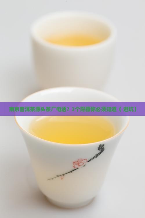 南京普洱茶源头茶厂电话