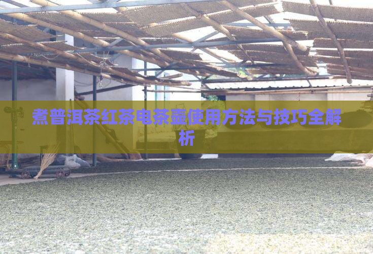 煮普洱茶红茶电茶壶