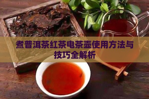 煮普洱茶红茶电茶壶