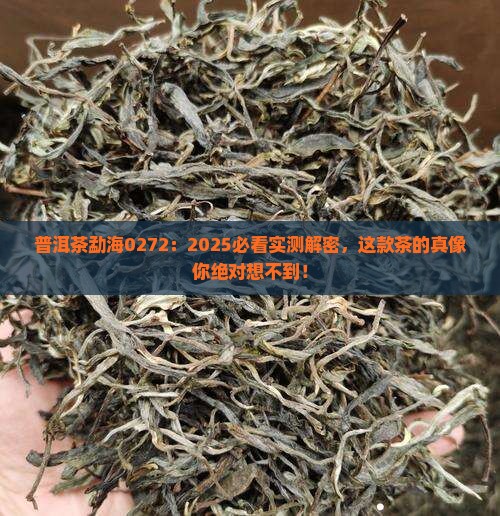 普洱茶勐海0272