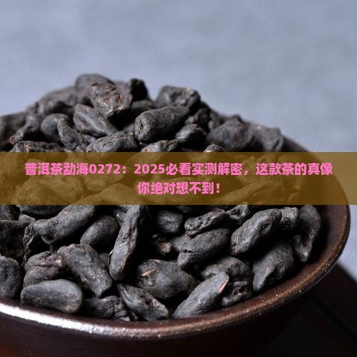普洱茶勐海0272