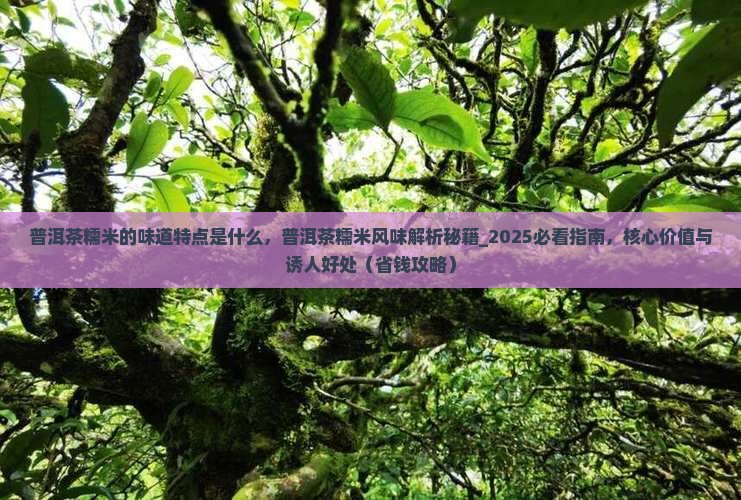 普洱茶糯米的味道特点是什么