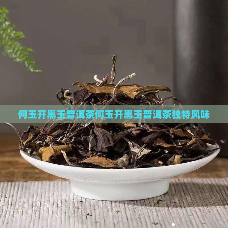 何玉开黑玉普洱茶