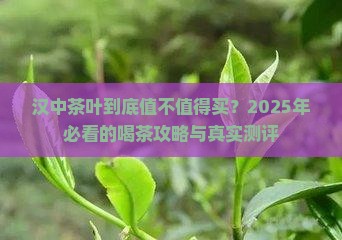 汉中的茶叶怎么样