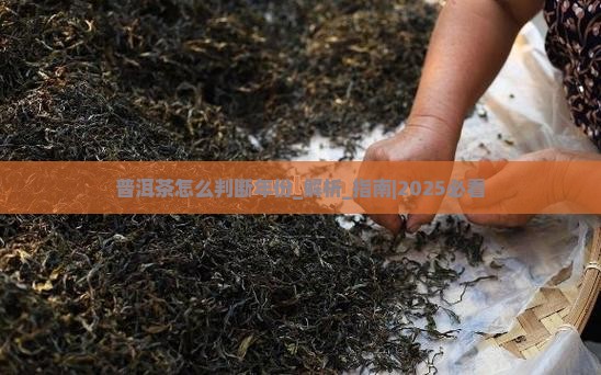普洱茶怎么判断年份