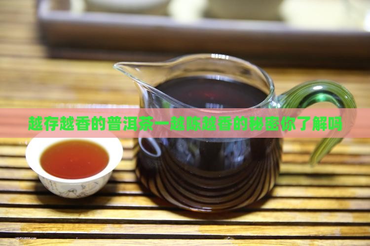 越存越香的普洱茶一