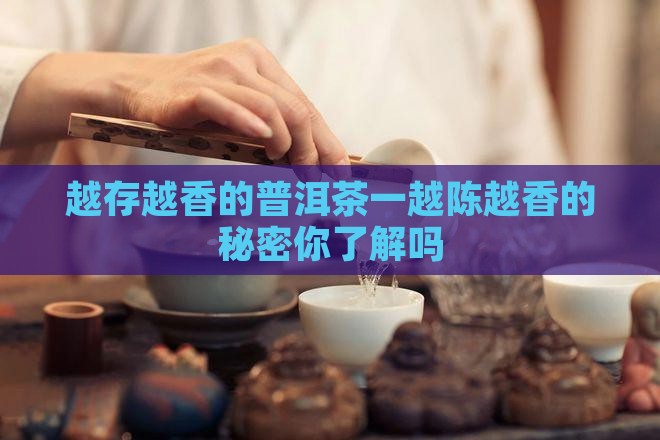 越存越香的普洱茶一