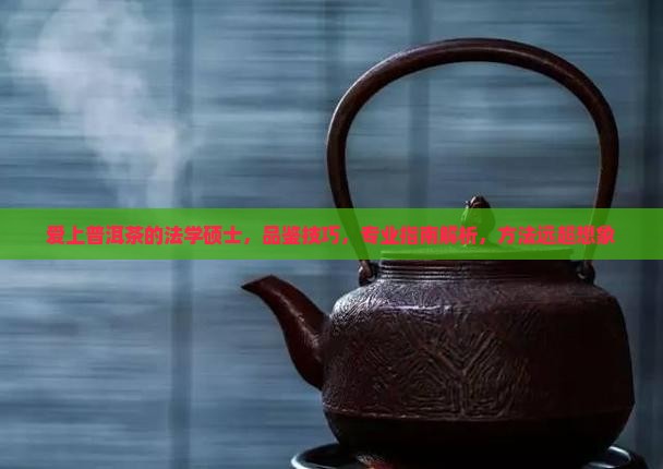 爱上普洱茶的法学硕士