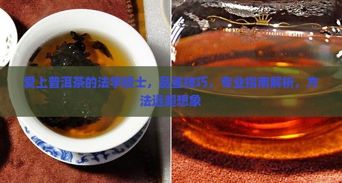 爱上普洱茶的法学硕士