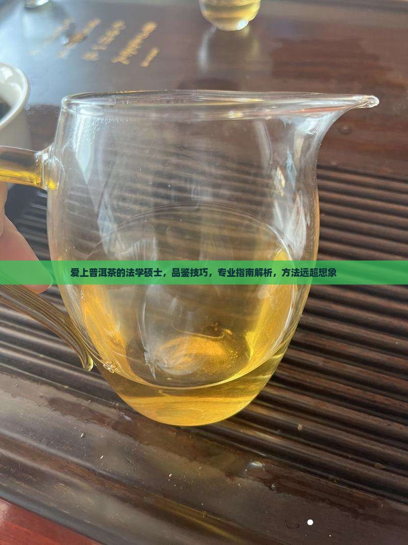 爱上普洱茶的法学硕士
