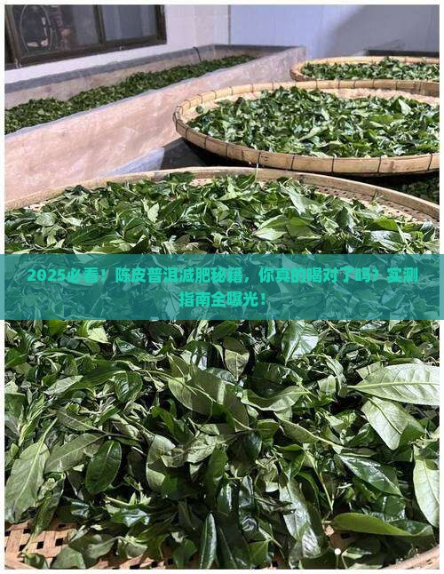 陈皮跟普洱茶可以减肥吗