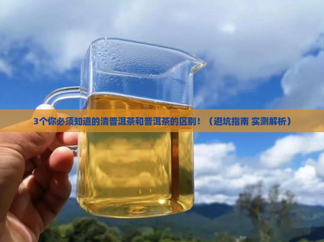 清普洱茶和普洱茶的区别