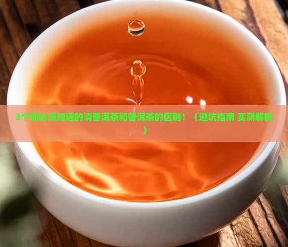 清普洱茶和普洱茶的区别