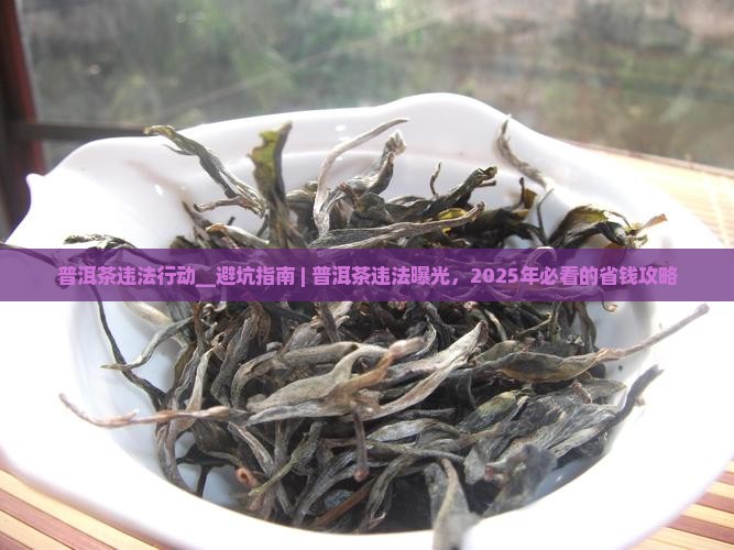 普洱茶违法行动