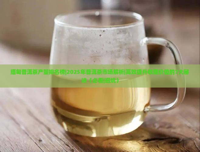 缅甸普洱茶产量排名榜