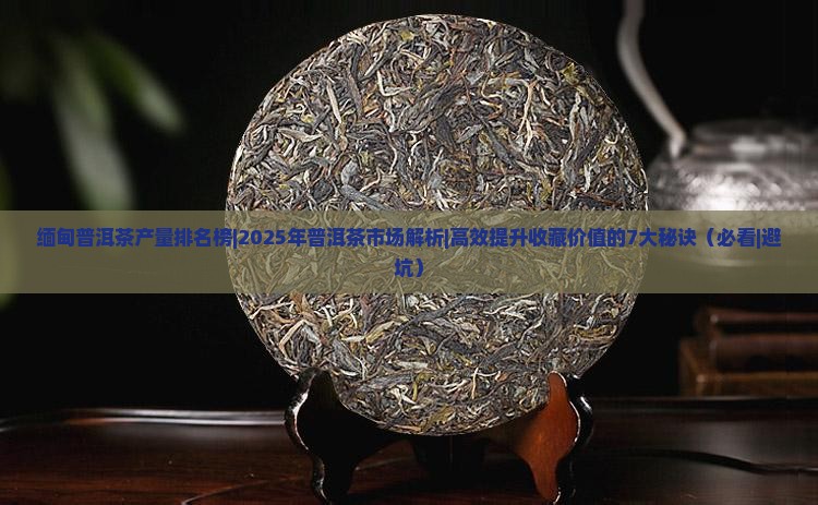 缅甸普洱茶产量排名榜