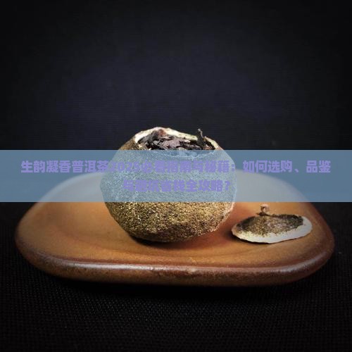 生韵凝香普洱茶