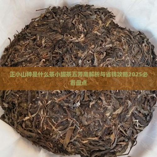 正小山种是什么茶小罐茶五芳斋
