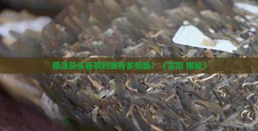 普洱茶头春茶好喝吗