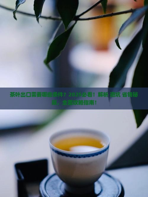 茶叶出口需要哪些条件 茶叶出口需要哪些条件