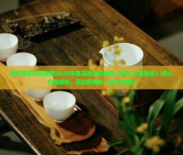 铜箐河普洱茶直播