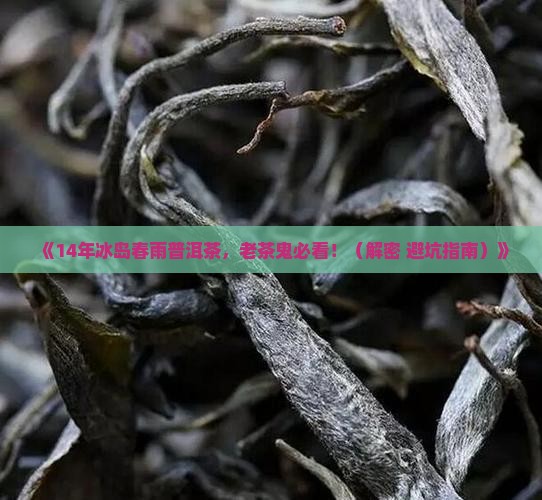 14年的冰岛春雨普洱茶