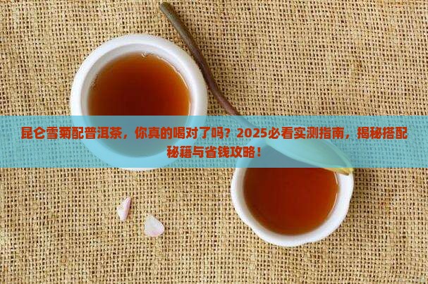 昆仑雪菊配普洱茶