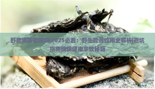 野普洱茶能喝吗