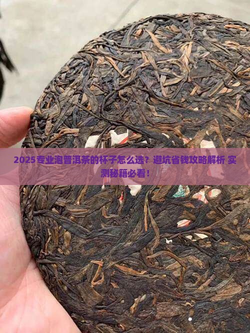 专业泡普洱茶的杯子