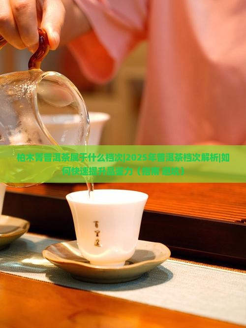 柏木箐普洱茶属于什么档次