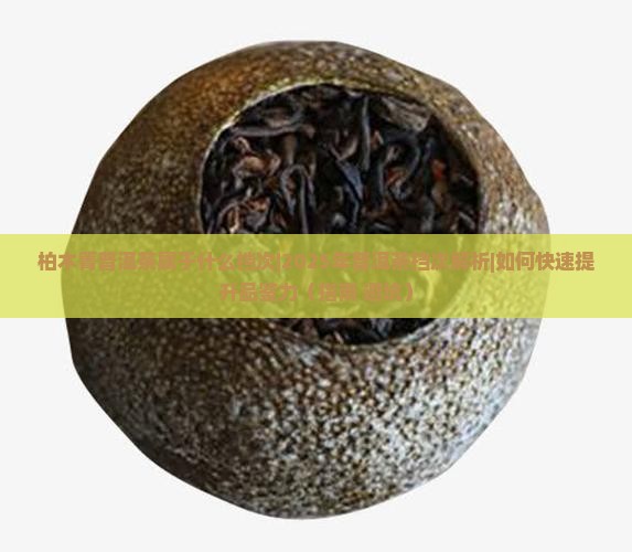 柏木箐普洱茶属于什么档次