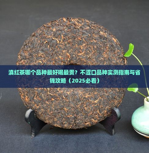 滇红茶哪个品种