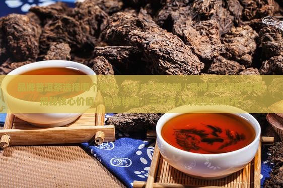 品牌普洱茶选择哪个系列