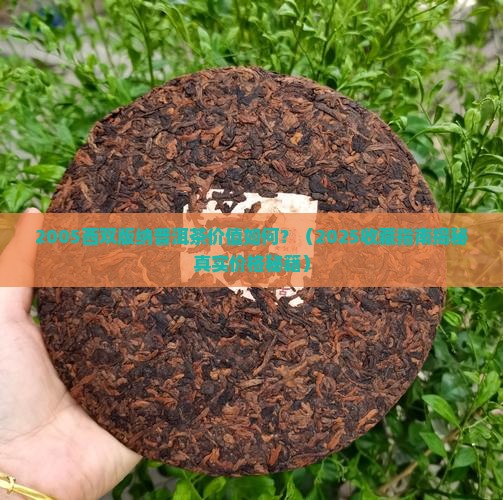 2005西双版纳普洱茶
